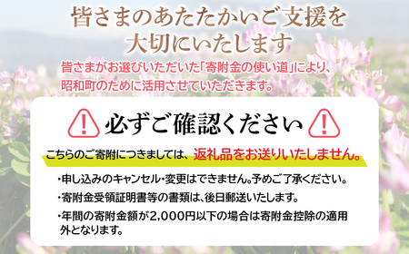 山梨県昭和町 応援寄附<10,000円>※返礼品なし SW001-4