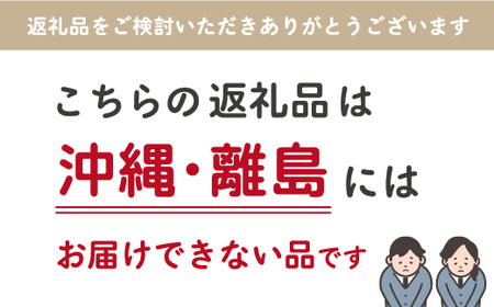 炭酸水メーカーセット（シルバー＋炭酸ガス3本） SWAC003-SV