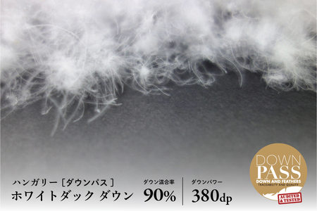 【富士新幸謹製】羽毛布団 本掛け シングル［セレニティ・ブルー系］ ハンガリーホワイトダック ダウン90％ ※着日指定不可 DSI019　