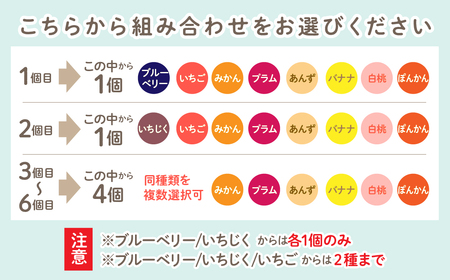【布なし】富士山麓の無添加手作りジャム　9種から選べる6本セット DSC002　無添加 手作り ジャム