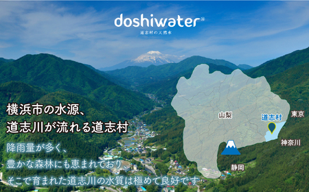 【山梨　道志村の天然水】doshiwater (2l×6袋×2箱)　初回のみ専用ウォーターケース付【10回定期】DSF005