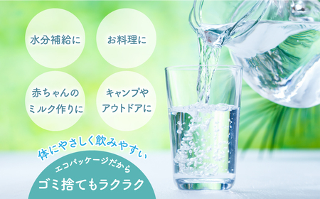 【山梨　道志村の天然水】doshiwater BIB40L(10l×2箱×2セット)　大好評の大容量サイズ2セット【12回定期】DSF007