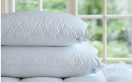 【富士新幸謹製】 43×63cm ダウンピロー「サステナブルな羽毛」アップサイクルダウン羽毛枕 ※着日指定不可 DSI003　