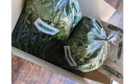 クレソン 600g ※北海道・沖縄・離島への配送不可 ※着日指定不可 DSL005