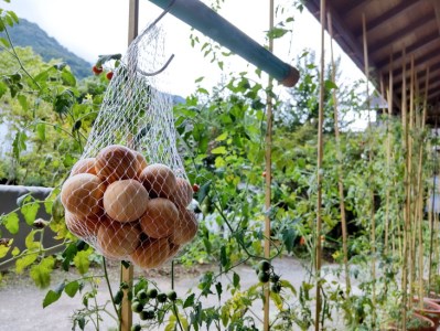 いやしの小箱 DSR029