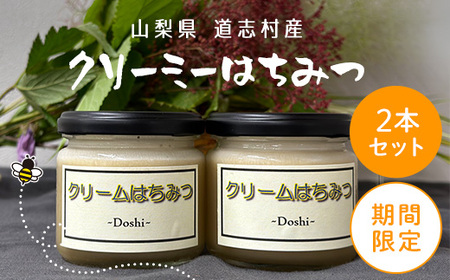 【期間限定】道志村産　クリーミーはちみつ ×2本 DSD007