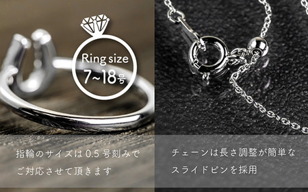 ダイヤ pt900 ダイヤモンド リング ネックレス 2点 セットt 鑑別書 保証書 ケース 付 ジュエリー アクセサリー 指輪 ペンダント 宝石 プラチナ ギフト プレゼント 贈り物 記念日 お祝い 誕生日 人気 高級 山梨県 西桂町【n0482_liz_B】