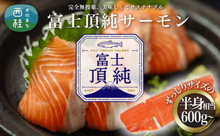 サーモン 鮭 富士頂純サーモン 刺身 セット 骨なし 半身分3分割 600g以上 【富士山麓のきれいな天然水で養殖された安心安全な サーモン 】 / 完全無投薬 ワクチンフリー 鮭 サケ シャケ 骨取り 切身 フィレ 刺身 皮なし 人気 魚 魚介