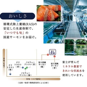 サーモン 鮭 富士頂純サーモン 刺身 セット 骨なし 半身分3分割 600g以上 【富士山麓のきれいな天然水で養殖された安心安全な サーモン 】 / 完全無投薬 ワクチンフリー 鮭 サケ シャケ 骨取り 切身 フィレ 刺身 皮なし 人気 魚 魚介