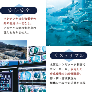 サーモン 鮭 富士頂純サーモン 刺身 セット 骨なし 半身分3分割 600g以上 【富士山麓のきれいな天然水で養殖された安心安全な サーモン 】 / 完全無投薬 ワクチンフリー 鮭 サケ シャケ 骨取り 切身 フィレ 刺身 皮なし 人気 魚 魚介