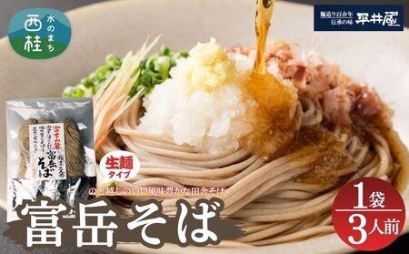 ［訳あり］富岳そば  3人前 (3人前平袋×1パック） 富士山麓の水で練り上げたおいしい蕎麦 ダシの効いたスープ付 ／ セット 田舎そば そばつゆ 送料無料 山梨県 特産品 コシ 風味 きれいな水【n0630-01_hir】