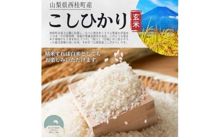 【2026年発送分先行予約】山梨県西桂町産コシヒカリ【玄米】  国産 こしひかり  10キロ 2026年秋頃より順次発送予定【n0671-10_gou】