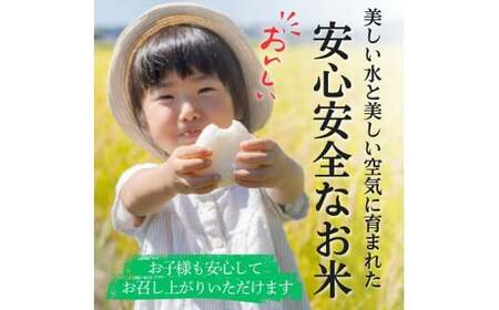 【2026年発送分先行予約】山梨県西桂町産コシヒカリ【玄米】  国産 こしひかり  10キロ 2026年秋頃より順次発送予定【n0671-10_gou】