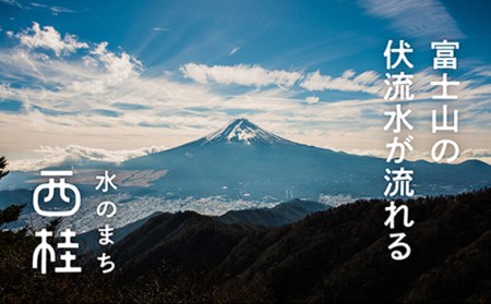 No.327 【A】CMCbioペンダント【n0327_nyu_A】