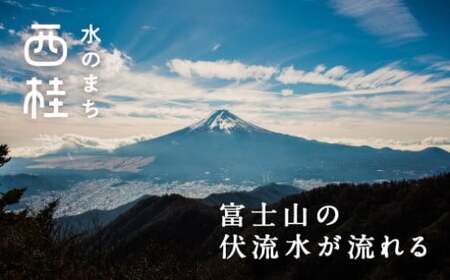 No.233 富士山麓四季の水2L　6ヶ月定期便（合計12箱）