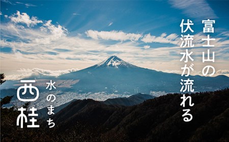 No.107 【B】 CMCbioペンダント2本セット【n0107_nyu】