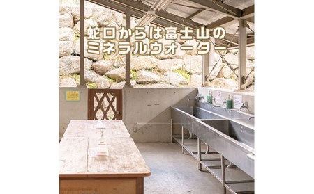 No.368 ログハウス5人棟宿泊券【n0368_grn_A】