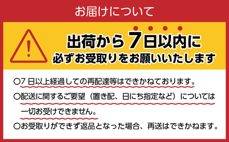 ラベルレス　富士山蒼天の水 2L×24本（4ケース） 天然水 ミネラル水 富士山麓の天然水 バナジウム水 備蓄水 弱アルカリ水 忍野の水 富士山の水 飲みやすい水 常備水 新鮮な水