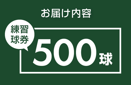 鐘山ゴルフセンター練習球券（500球券）