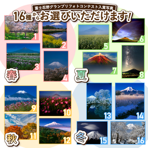 アクリルパネル（2L）