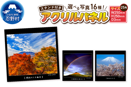 アクリルパネル（25角）