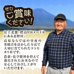 【令和7年産米】【新米先行予約】【数量限定】忍野村産こしひかり（20kg）