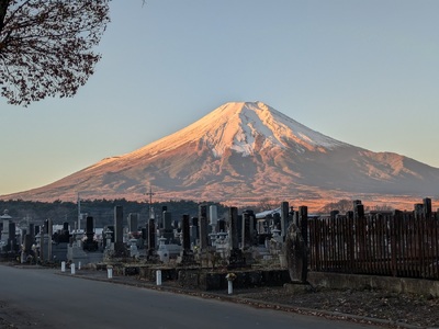 承天寺　忍野富士どうぶつ霊園集合墓
