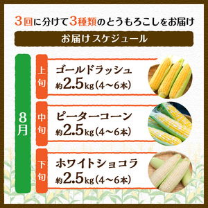 ＼＼★セレクト定期便(月3回お届け)★ 2026年先行予約／／ 富士北麓忍野村の気候、水、自然で作られた朝採りトウモロコシ（セレクト便）《約2.5kg 4～6本》