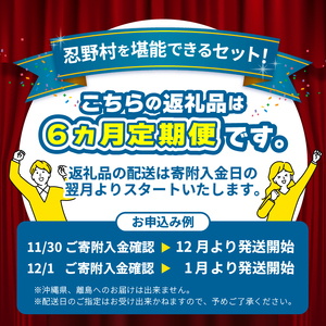 ＼＼忍野プレミアムセレクト／／＜満喫よくばり6ヶ月定期便＞【全6回】