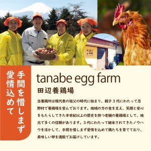 富士山の麓で育った産地直送 ”忍野の卵”※卵25個+割れ保障5個　計30個