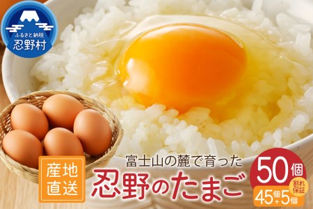 富士山の麓で育った産地直送 ”忍野の卵”※卵45個+割れ保障5個　計50個