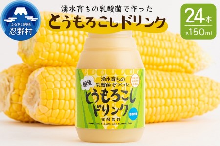 【期間限定】湧水育ちの乳酸菌でつくった朝採とうもろこしドリンク発酵飲料24本入