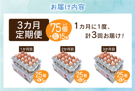 【3ヶ月定期便】富士山の麓で育った産地直送 ”忍野の卵”※卵25個+割れ保証5個　計90個