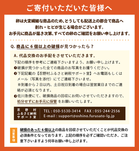 【3ヶ月定期便】富士山の麓で育った産地直送 ”忍野の卵”※卵25個+割れ保証5個　計90個