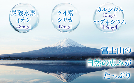 【12ヵ月定期便】FUJI SUN SUI 500ml 24本入り×2 YAQ004