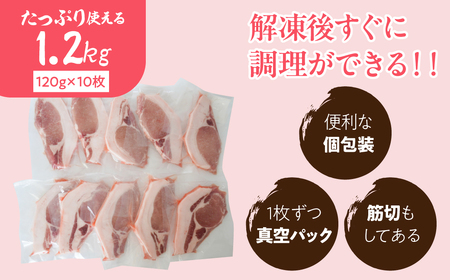 【大西ポーク】とんかつ・ポークステーキ用 ロース肉 1.2kg！ YAY004