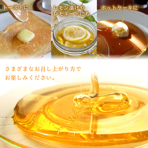 山中湖村産 いであプレミアム・ハニーHOKUSAI【白富士250g】 YAM009