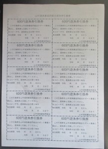 【湖漁業協同組合】山中湖日釣遊漁承認証引換券 (600×10枚)