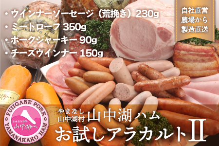 YB009 山中湖ハムお試しアラカルトⅡ