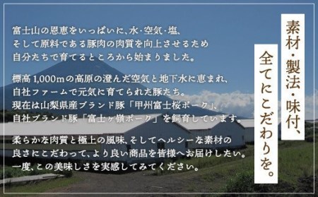 山中湖ハム自家製ソーセージ5種類の詰合せ（3ヵ月連続発送）【定期便・お肉・ソーセージ・ハム】※離島地域への発送不可※着日指定不可