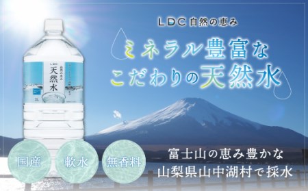 【12カ月定期便】自然の恵み天然水　2L×12本（6本入り2ケース）　計24L　を12カ月連続でお届け　※沖縄・離島配送不可