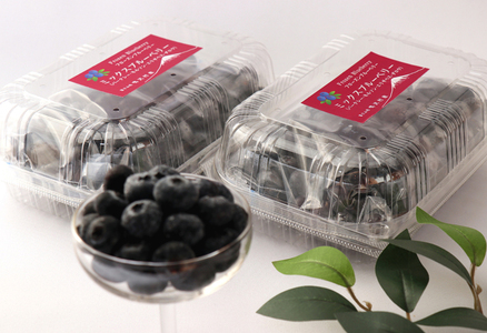 鳴沢村産冷凍ミックスブルーベリー(バークレー・ネルソン・エリザベス・ダロウ)500g×2パック NSAL005
