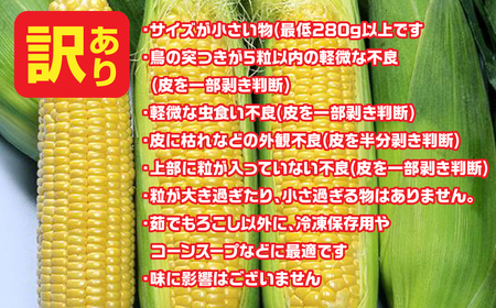 【2026年7月下旬発送】鳴沢村産 とうもろこし 恵味スタ- 【訳あり品】 ふるさと納税 山梨県 鳴沢村 送料無料 NSH005