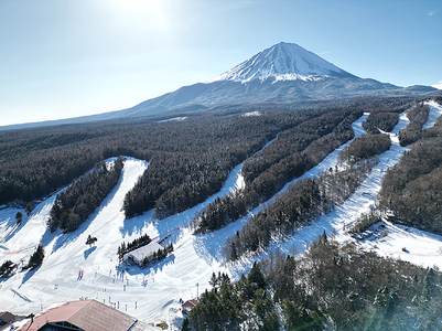 ふじてんスノーリゾート 1日リフト券引換券1枚 2025-2026シーズン NSL003