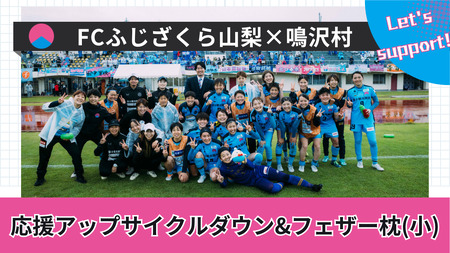 FCふじざくら山梨×鳴沢村 応援アップサイクルダウン＆フェザー枕（小） NSM001