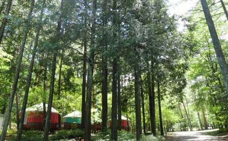 富士満願ビレッジキャンプ場利用券15000円 NSN002