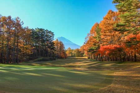 富士桜カントリー倶楽部 2025年シーズン利用券30,000円 NSL016 | 山梨県鳴沢村 | ふるさと納税サイト「ふるなび」