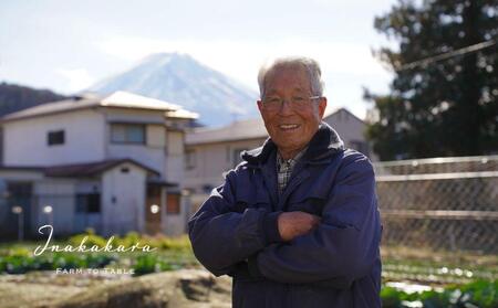 ＜2025年8月発送＞【富士山の麓で育つ】河口湖ブランドとうもろこしInakakara「恵味ゴールド」10本入 野菜 やさい とうもろこし トウモロコシ コーン 先行予約