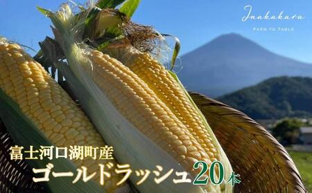 ＜2025年8月～9月発送＞【富士山の麓で育つ】河口湖町産Inakakara「ゴールドラッシュ」20本 野菜 やさい とうもろこし トウモロコシ コーン 先行予約