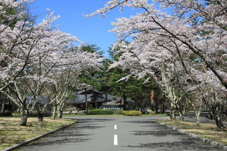 富士桜カントリー倶楽部 2025年シーズン利用券60,000円